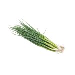 Spring Onion